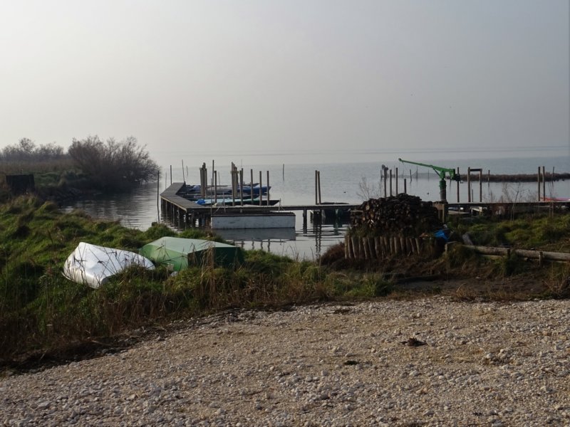 dsc03687.jpg
