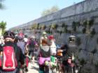 dsc08995_small.jpg