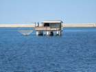 dsc09001_small.jpg