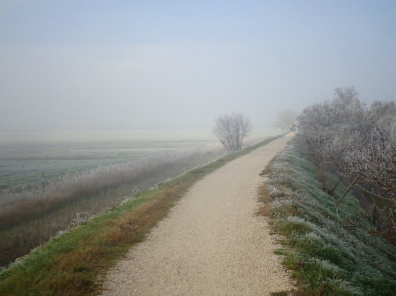 dsc00734.jpg