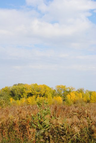photo20.jpg