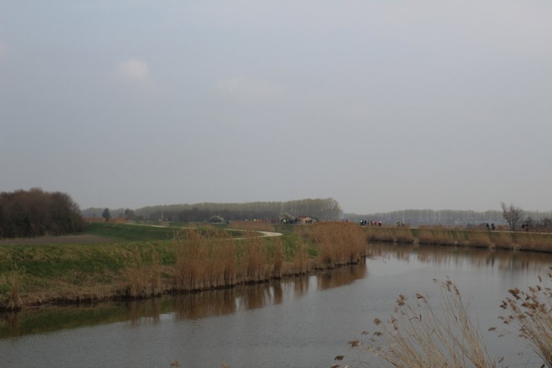 dsc01591b.jpg