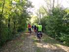 dsc02870_small.jpg