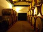 dsc02884_small.jpg