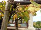 dsc02962_small.jpg