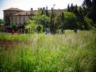 dsc04708_small.jpg