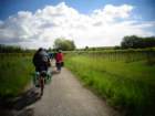 dsc04718_small.jpg