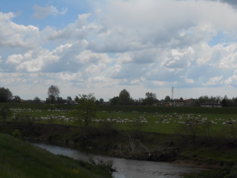 dsc04736a.jpg