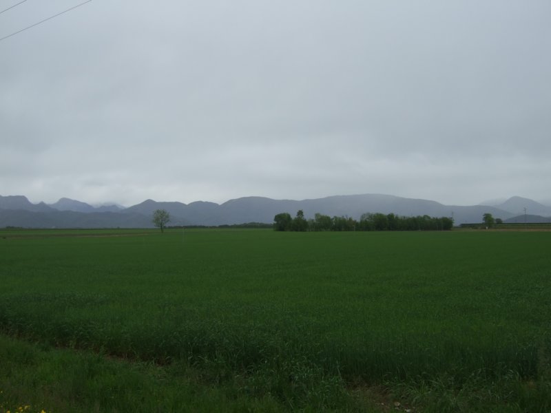 dsc04545a.jpg