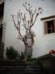 dsc04639_small.jpg