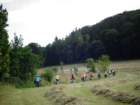 dsc07539_small.jpg