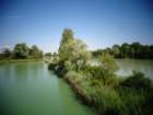 dsc07631_small.jpg