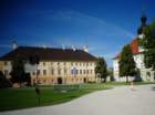dsc07642_small.jpg