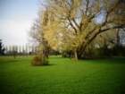 dsc00059_small.jpg