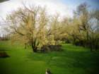 dsc00099_small.jpg