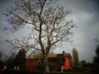dsc00133_small.jpg