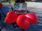 dsc09525_small.jpg