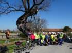 dsc09615_small.jpg