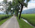dsc07211b_small.jpg