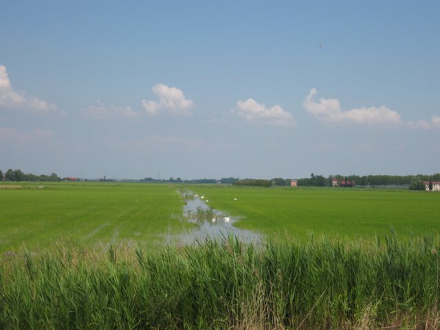 img_1775.jpg