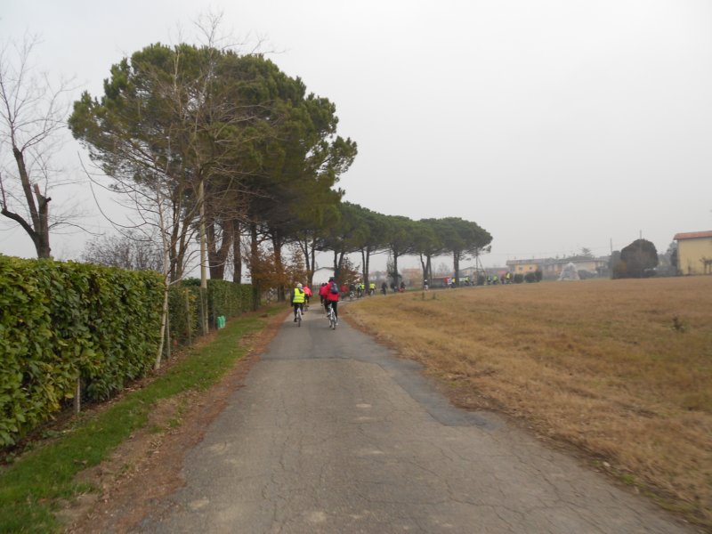 caorle_2013016.jpg