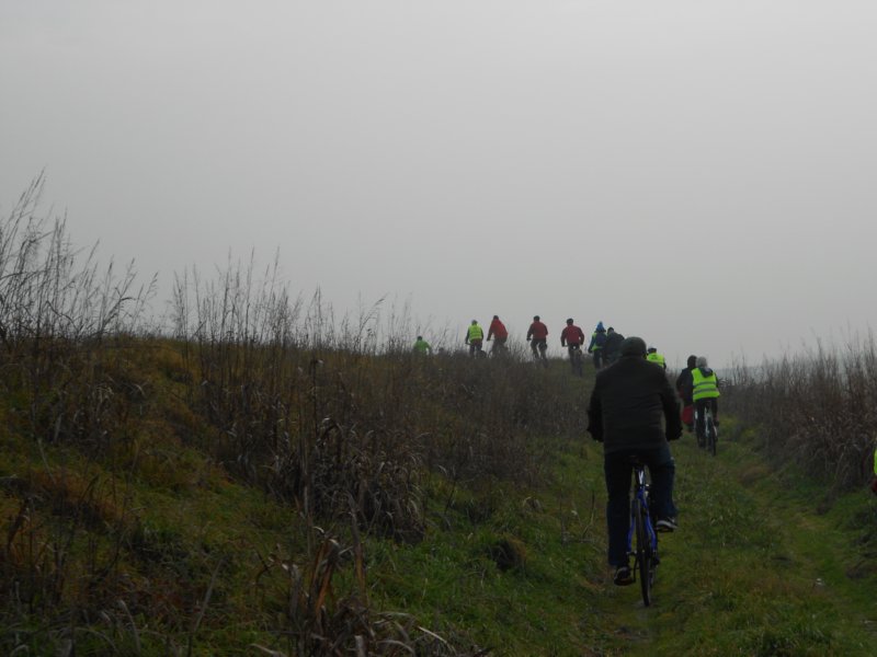 caorle_2013023.jpg