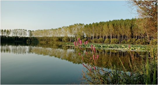 laghi di cinto