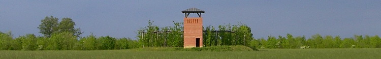 torre e roccolo del bosco Bandiziol