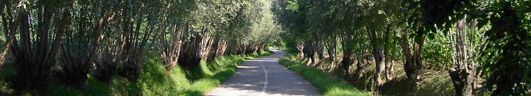 Via Lemene, verso Bagnara di Gruaro