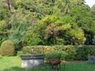 dsc07657_small.jpg