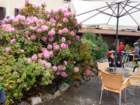 dsc06813_small.jpg