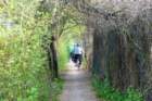 dsc00247a_small.jpg