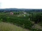 dsc080432_small.jpg