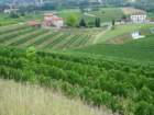 dsc08045_small.jpg