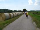 dsc080522_small.jpg